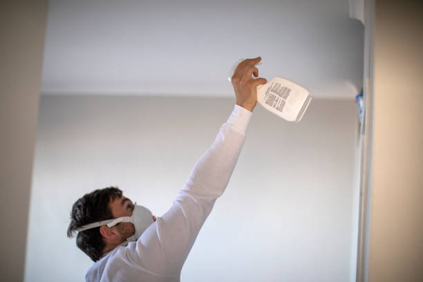 Best Mold Removal Company Near Me  in Pratt, KS